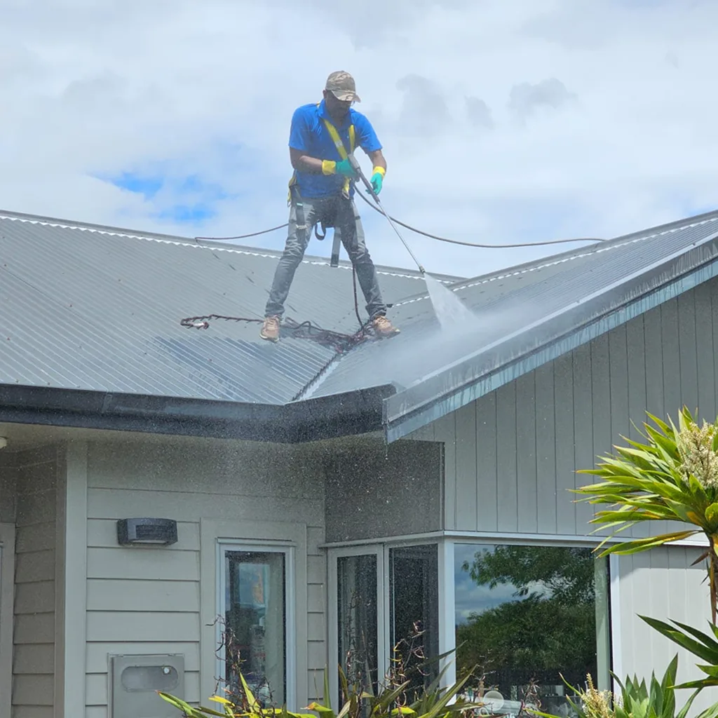 Roof Cleaning