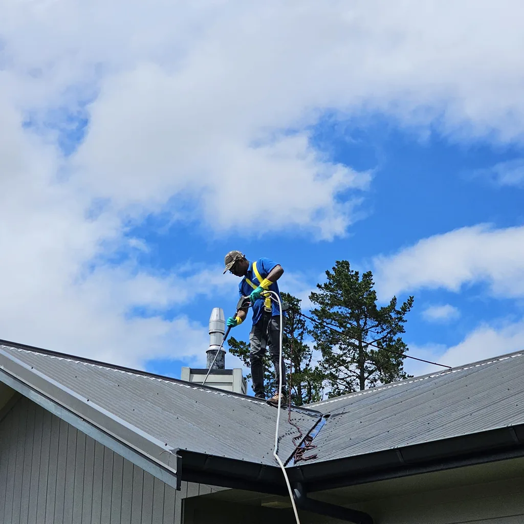 Roof Cleaning