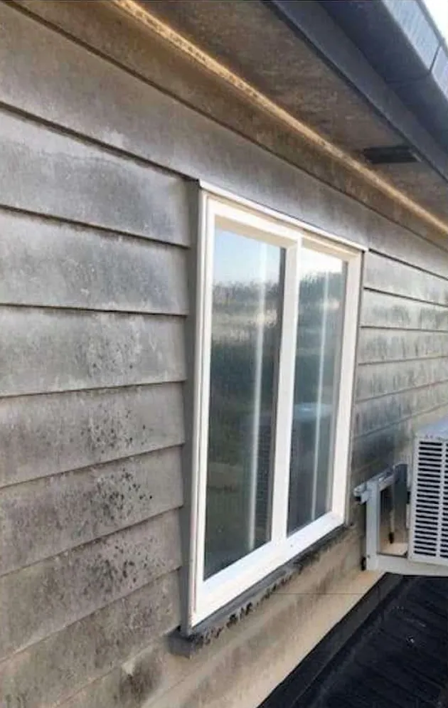 Before Cleaning
